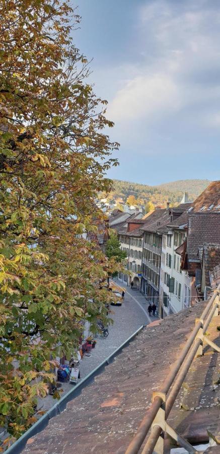 Haus De Philosophe Et Compositeur Rousseau Biel Dış mekan fotoğraf